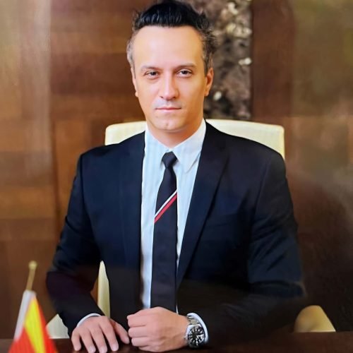 kockasta-n2 Svetozar zeleno siva